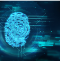 Untitled design (12)